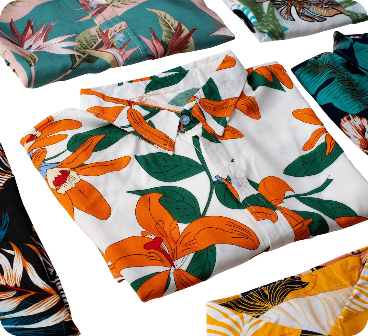 Collection of colorful floral and nature-themed pillows on a white background