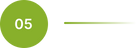 Green circle with the number 05 on a white background